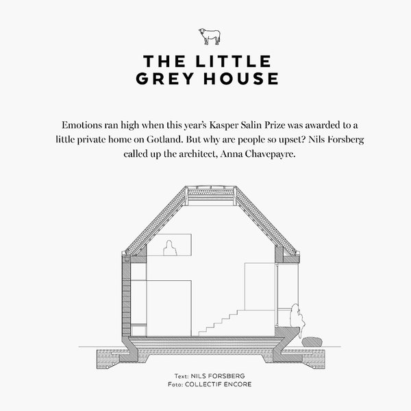 the little grey house